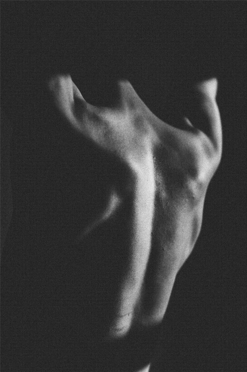 X-ray of back